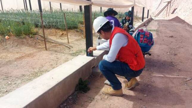 La Contraloría, a través del Órgano de Control Institucional (OCI) de la Municipalidad Distrital de Torata, alertó que el proyecto "Mejoramiento de los servicios del vivero municipal" presenta daños estructurales y se está ejecutando sin cumplir las especificaciones del expediente técnico.