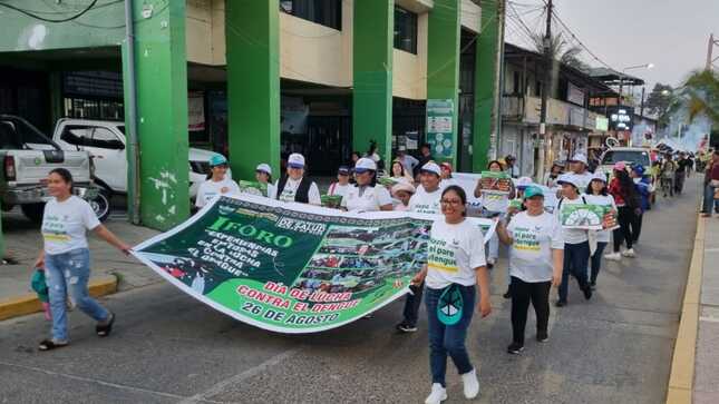 Madre de Dios: declara cada 26 de agosto el “Día contra el dengue”