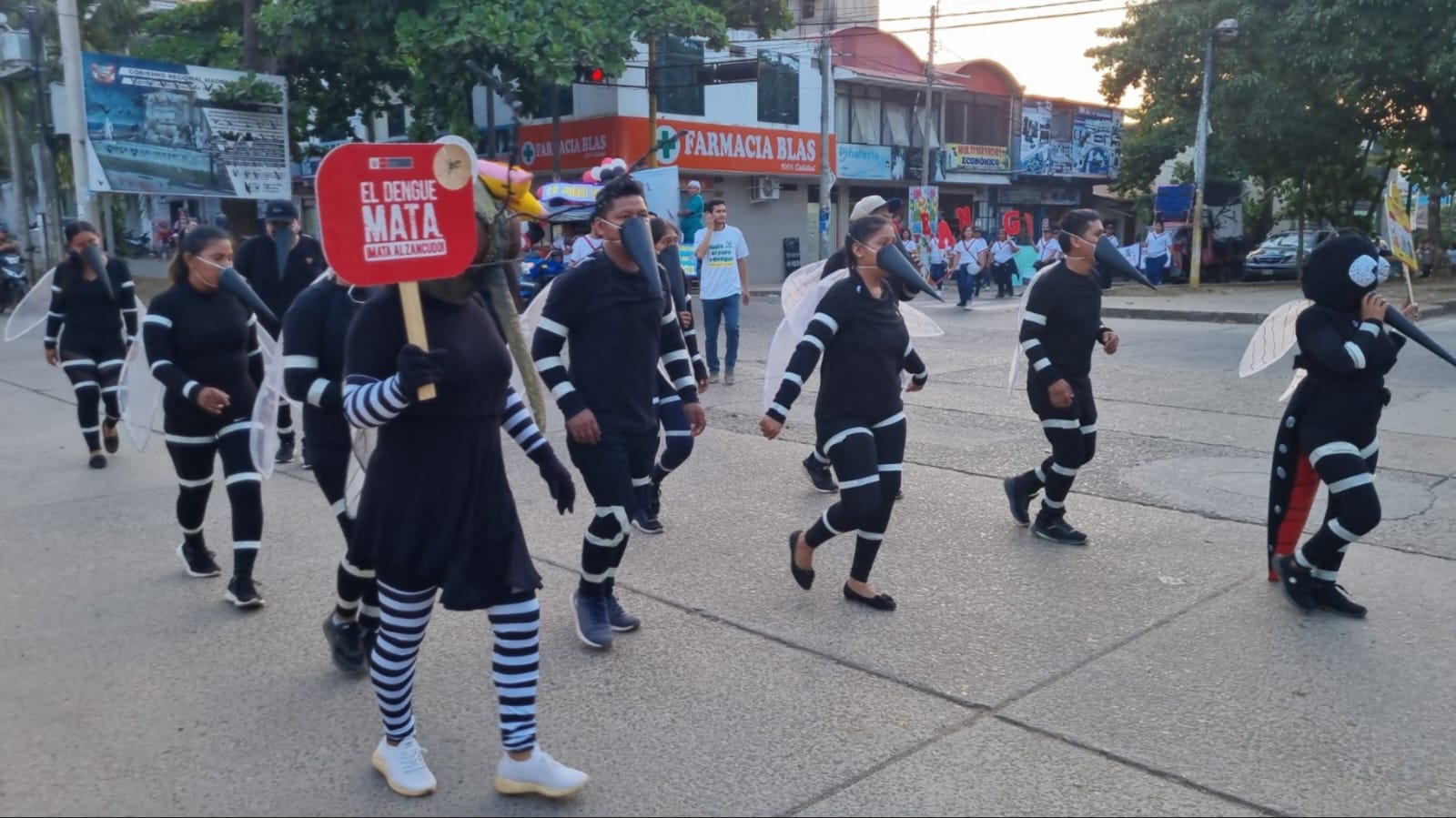 Madre de Dios: declara cada 26 de agosto el “Día contra el dengue”