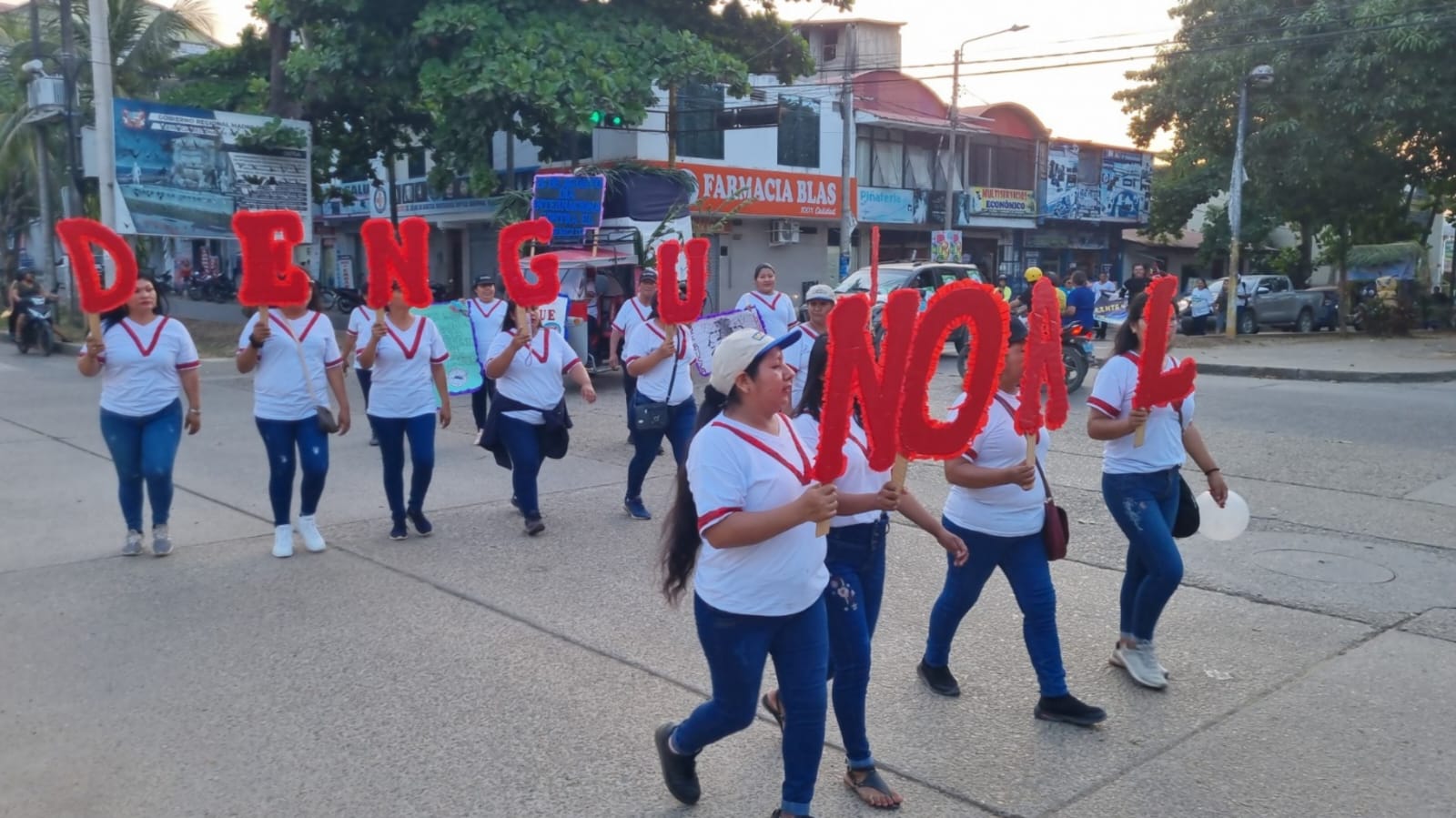 Madre de Dios: declara cada 26 de agosto el “Día contra el dengue”