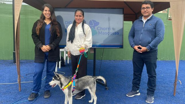 Aplicativo 'Chorri-mascotas' para una tenencia responsable de mascotas 