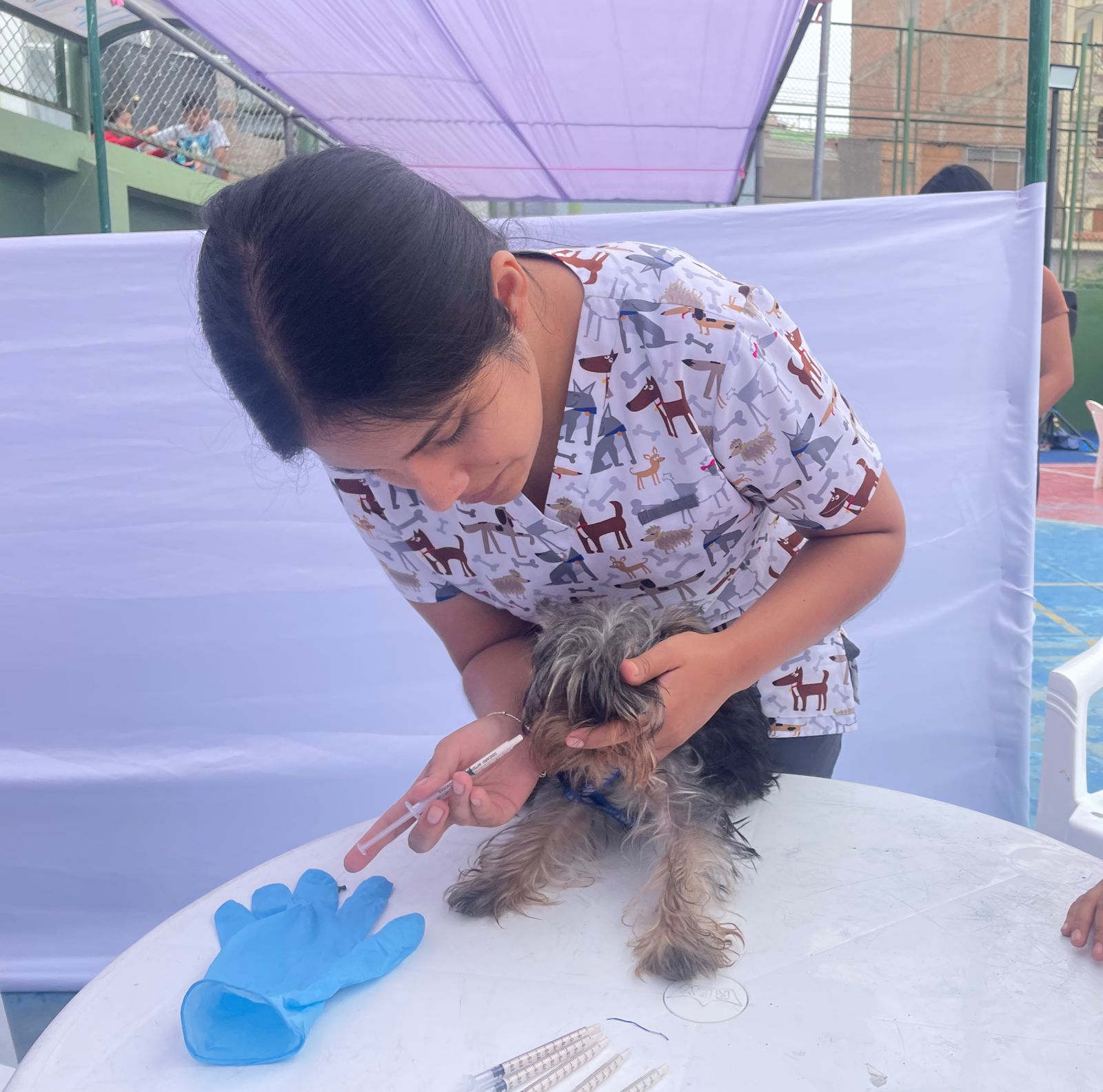 Mascotas del distrito se atendieron en losa deportiva Juan Pablo II de San Genaro