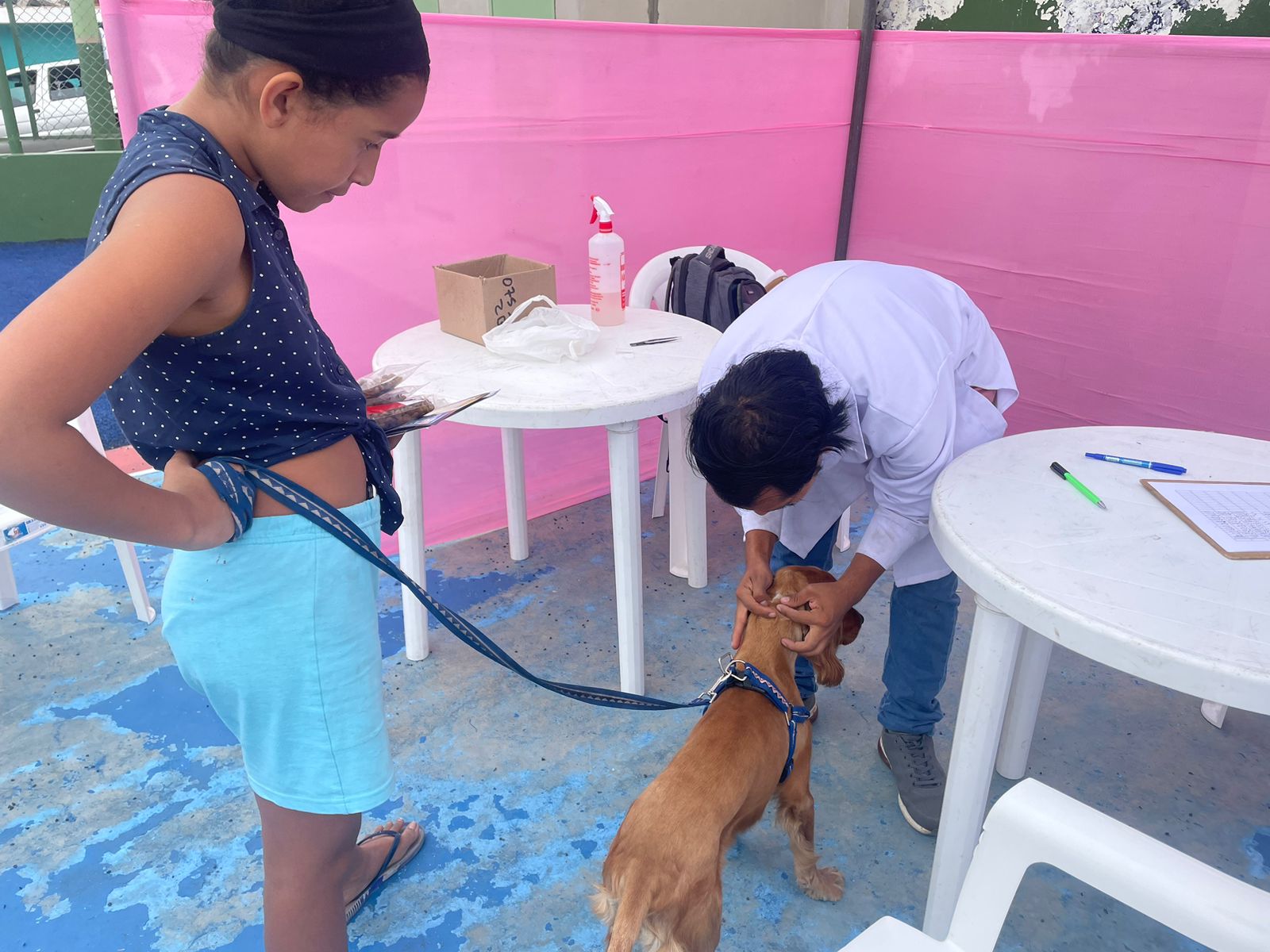 Más salud veterinaria para los engreídos de casa 