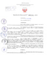 Vista preliminar de documento Resolución Directoral. N° 2151 - 2023 