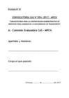 Vista preliminar de documento  FORMATO N° 01 CARATULA