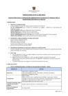 Vista preliminar de documento Bases de Convocatoria CAS 11-2013