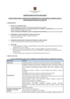Vista preliminar de documento Bases de Convocatoria CAS 04-2013