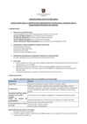 Vista preliminar de documento Bases de Convocatoria CAS 02-2013