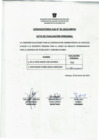 Vista preliminar de documento Acta de Evaluacion Personal - Analista Programador