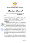 Vista preliminar de documento RD 166-2023