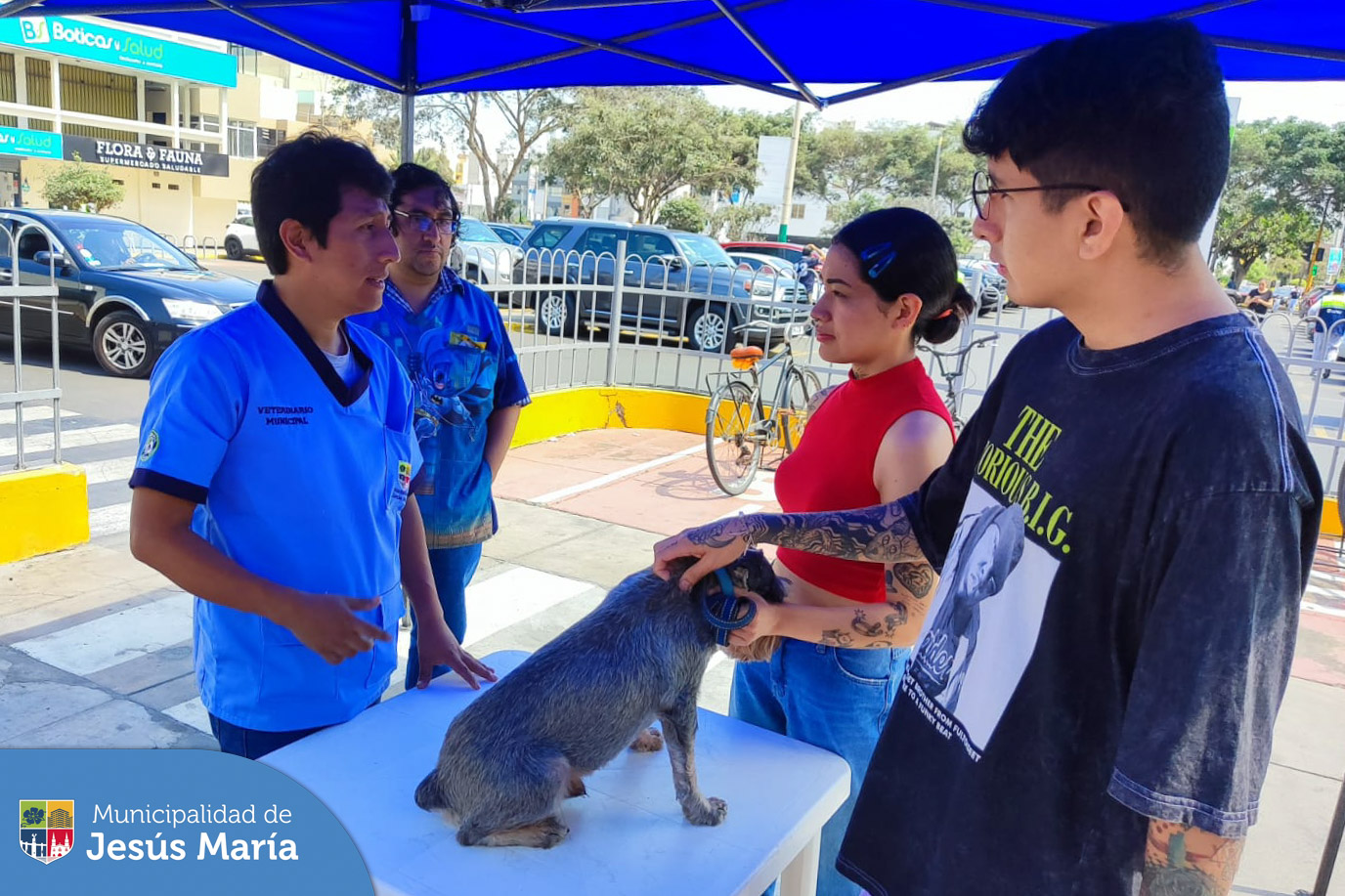 👏🏻 Más mascotitas 🐶😸 fueron atendidas en nuestra campaña veterinaria ✨ gratuita que se realizó en la explanada del 🏙️ Conjunto Residencial San Felipe. Recuerda que nuestras campañas se realizan cada 15 días en diferentes zonas de nuestro distrito y son anunciadas en nuestras 📱 redes sociales y 🌐 página web.
¿Necesitas una cita en nuestra veterinaria? 🐈🐕 Escríbenos a 📧veterinariajm@munijesusmaria.gob.pe
#JesúsMaríaSomosTodos