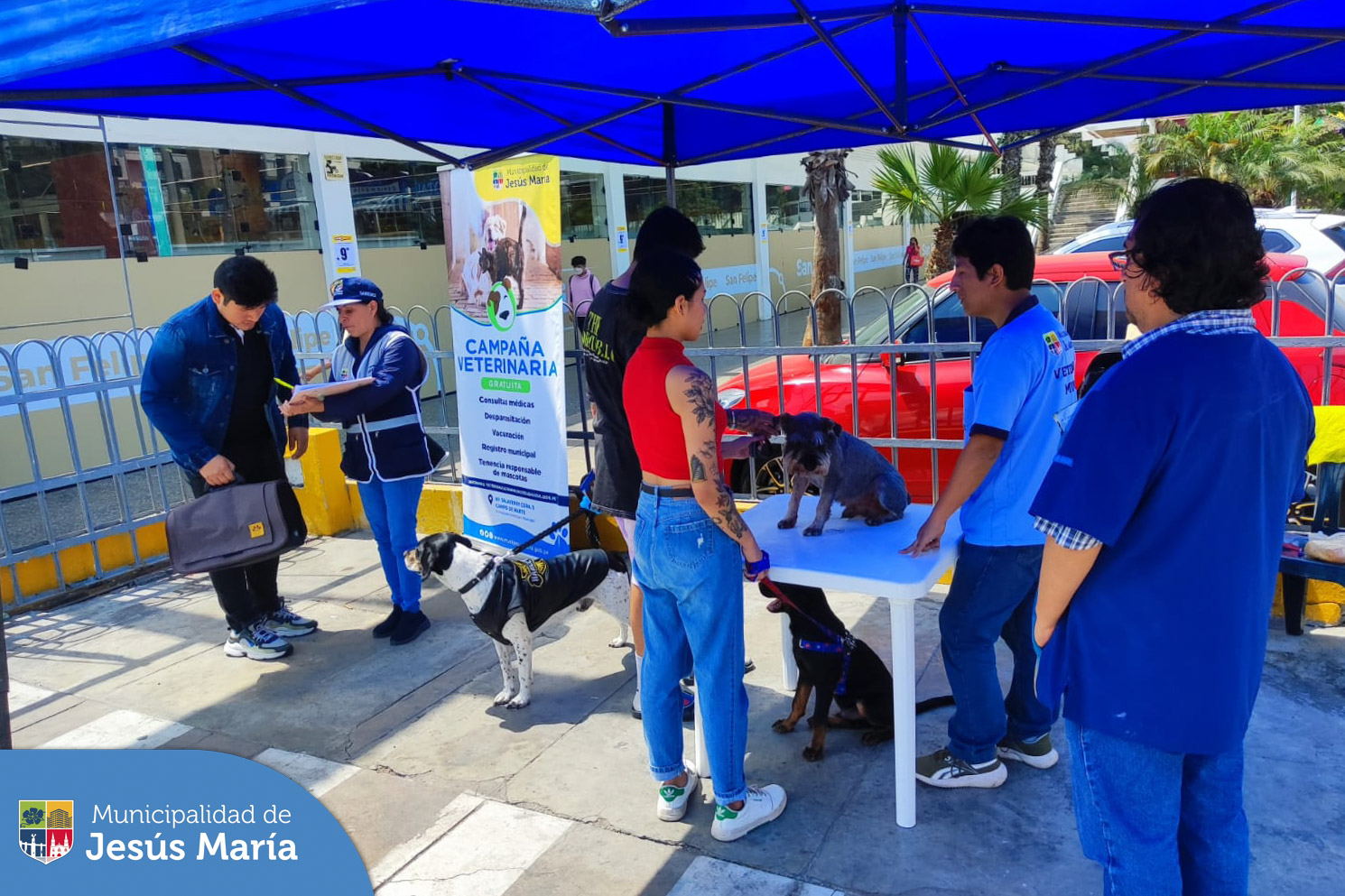 👏🏻 Más mascotitas 🐶😸 fueron atendidas en nuestra campaña veterinaria ✨ gratuita que se realizó en la explanada del 🏙️ Conjunto Residencial San Felipe. Recuerda que nuestras campañas se realizan cada 15 días en diferentes zonas de nuestro distrito y son anunciadas en nuestras 📱 redes sociales y 🌐 página web.
¿Necesitas una cita en nuestra veterinaria? 🐈🐕 Escríbenos a 📧veterinariajm@munijesusmaria.gob.pe
#JesúsMaríaSomosTodos