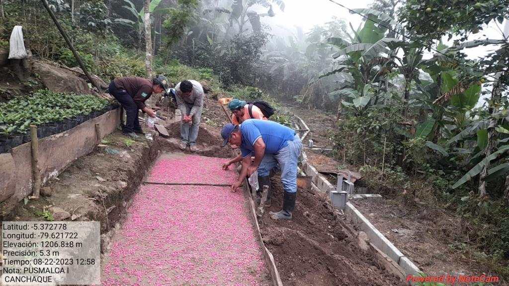 #GOREPIURA 📣|| Proyecto de café orgánico continúa con la ejecución del PIP Café Orgánico
