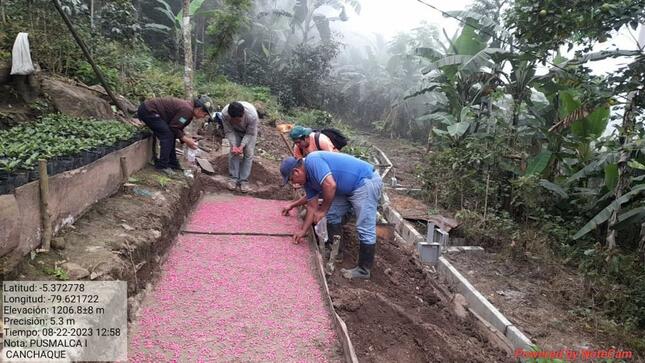 #GOREPIURA 📣|| Proyecto de café orgánico continúa con la ejecución del PIP Café Orgánico 