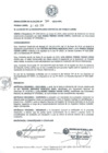 Vista preliminar de documento resolucion3062014