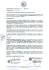 Vista preliminar de documento resolucion3082014