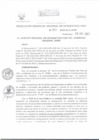 Vista preliminar de documento RESOLUCIÓN GERENCIAL REGIONAL DE INFRAESTRUCTURA  251.PDF