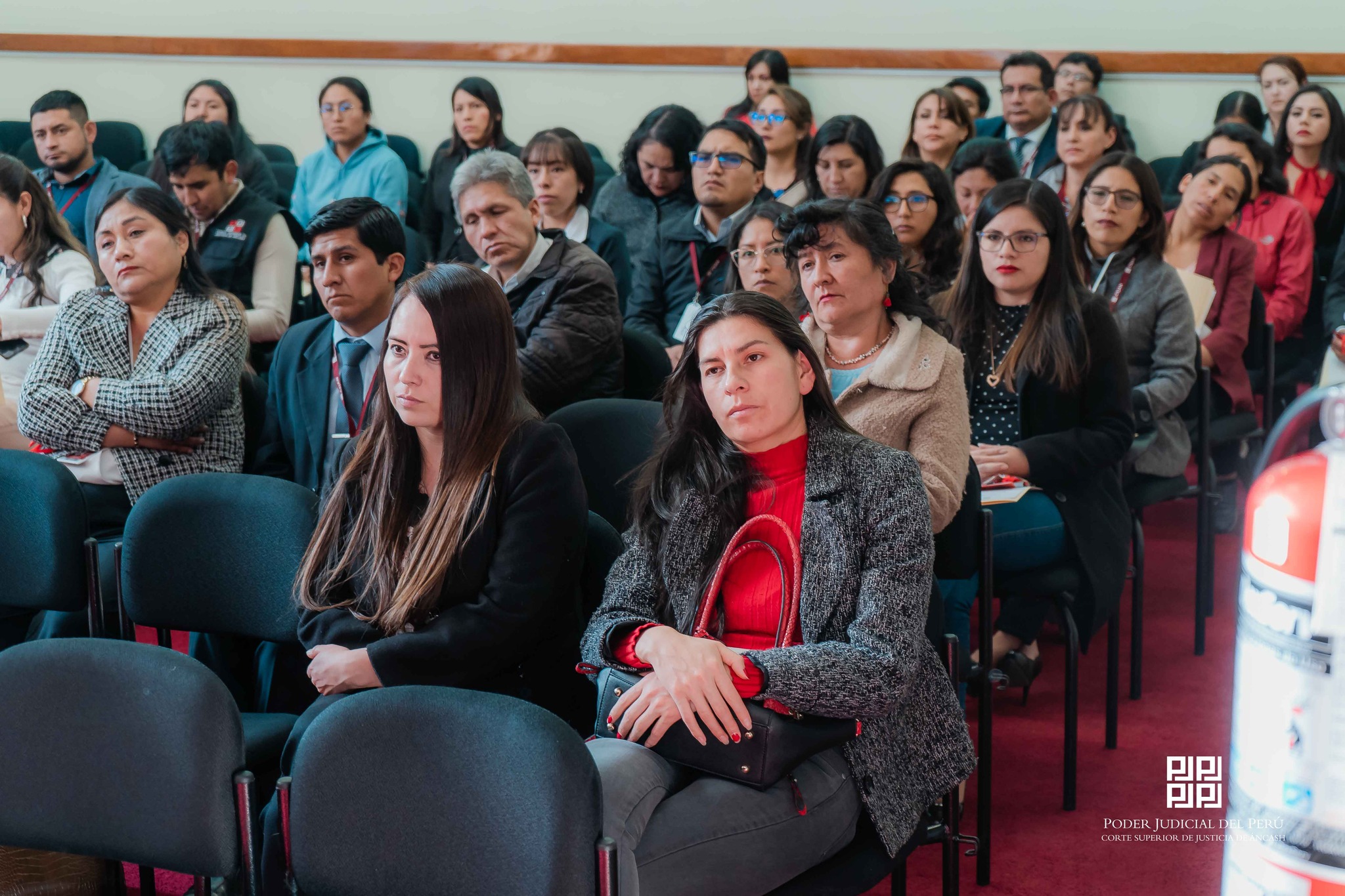 Órgano de Imagen Institucional