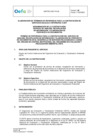 Vista preliminar de documento TDR