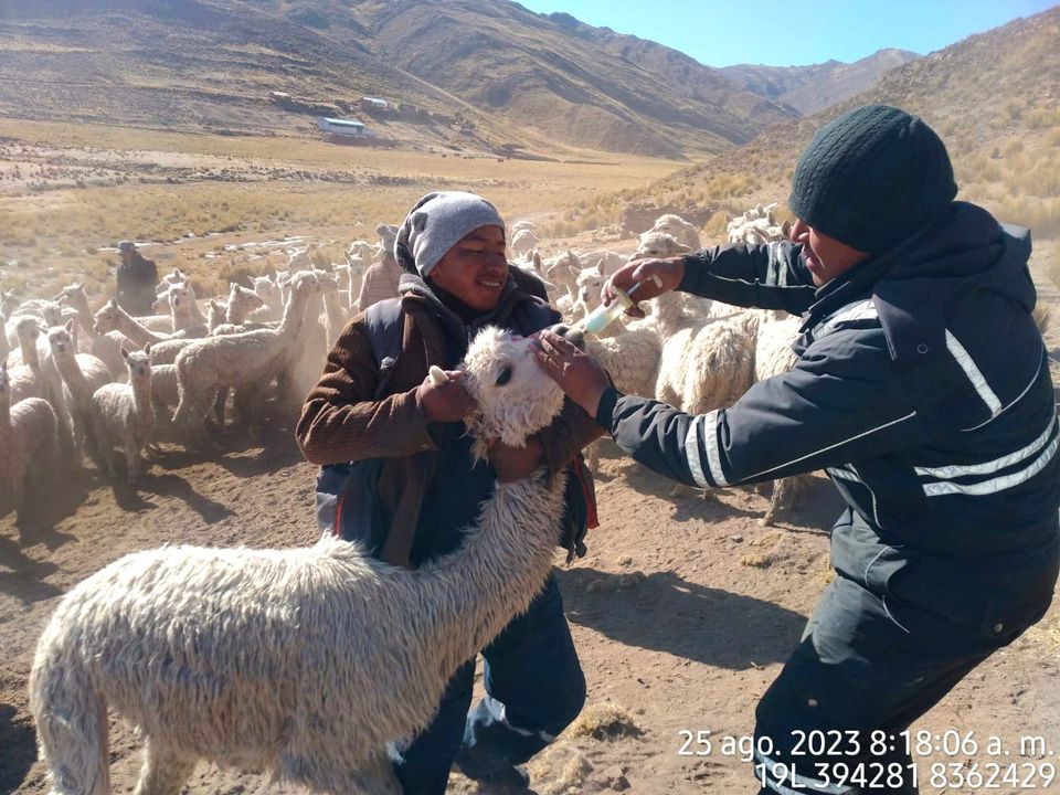 foto de dosificacion