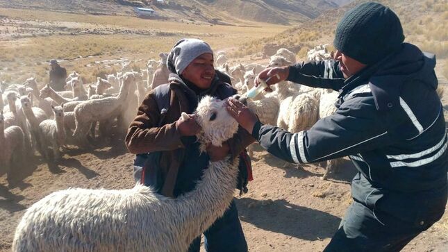 foto de dosificacion