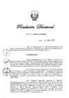 Vista preliminar de documento RD N° 349-2023