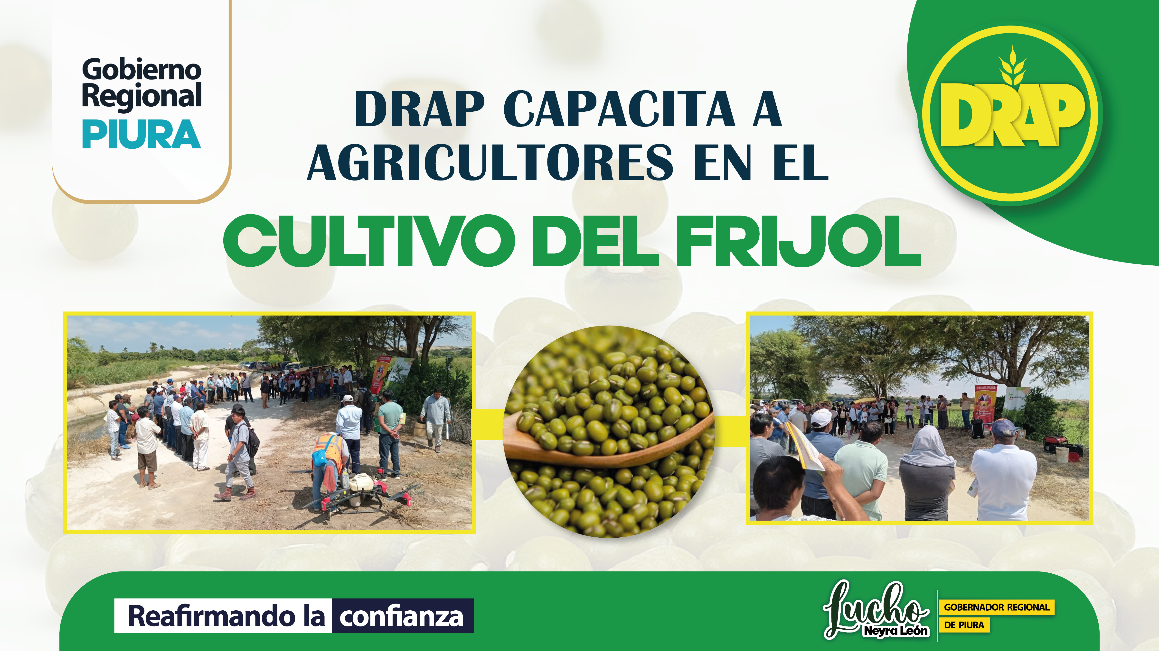 Fotos de capacitación de frijol
