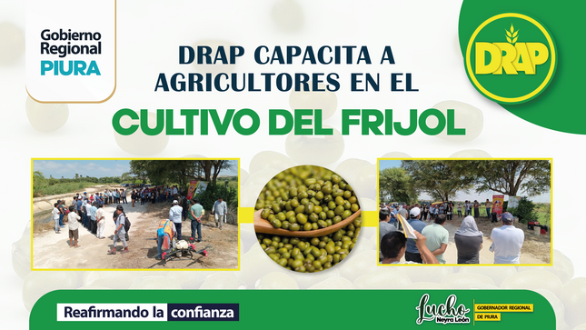 Fotos de capacitación de frijol