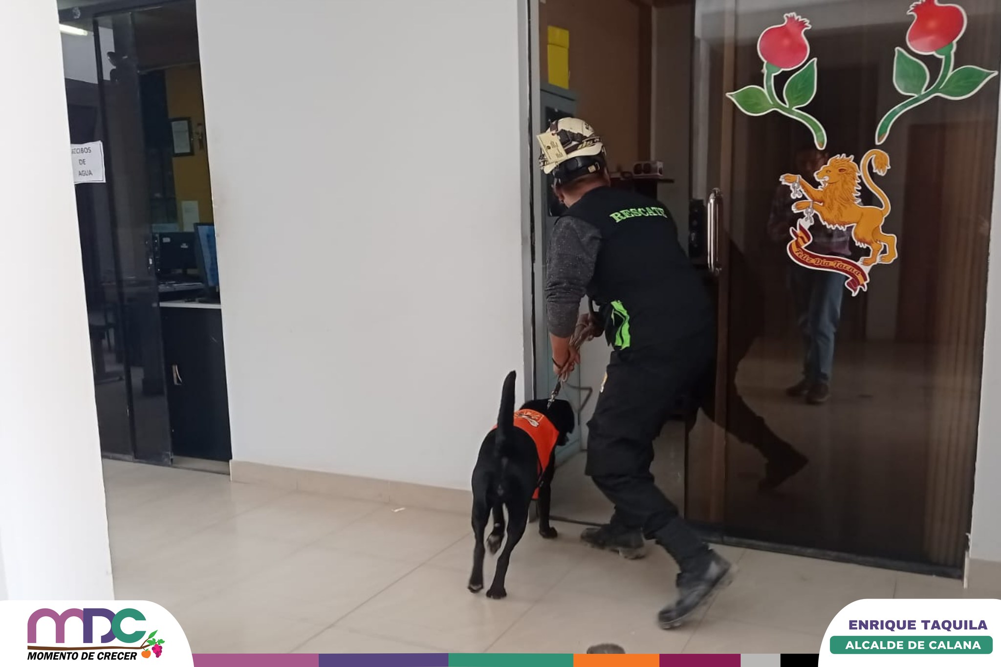 367954918_604740955172667_1192614134351657337_n