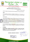 Vista preliminar de documento Resolucion de Alcaldia 379