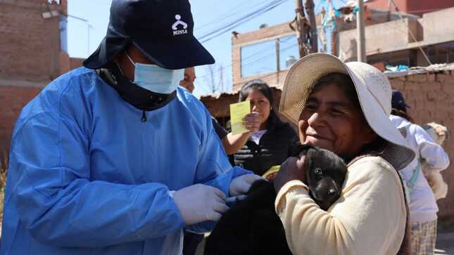  Puno: más de 7900 perros vacunados en el inicio de la campaña antirrábica canina