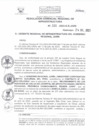 Vista preliminar de documento RESOLUCIÓN GERENCIAL REGIONAL DE INFRAESTRUCTURA  335.PDF
