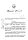 Vista preliminar de documento RD N° 377-2023
