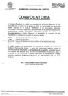 Vista preliminar de documento Convocatoria Audiencia Publica