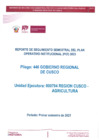 Vista preliminar de documento REPORTE SEGUIMIENTO PRIMER SEMESTRE POI 2023