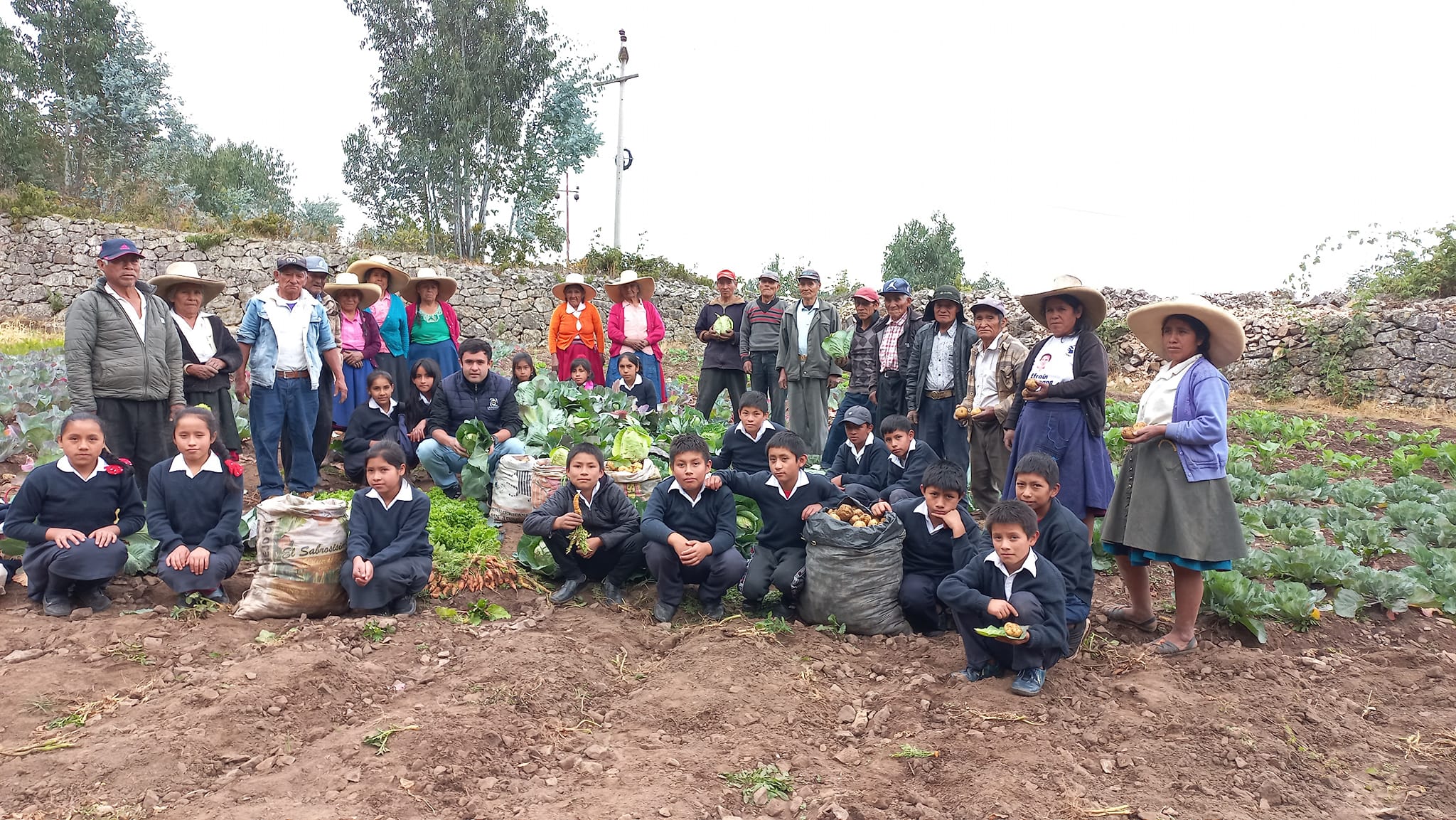 Adultos Mayores de Cashapamba Realizan Cosecha de Hortalizas