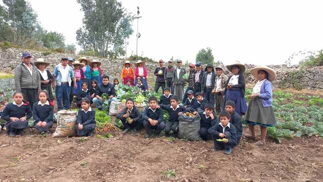 Adultos Mayores de Cashapamba Realizan Cosecha de Hortalizas