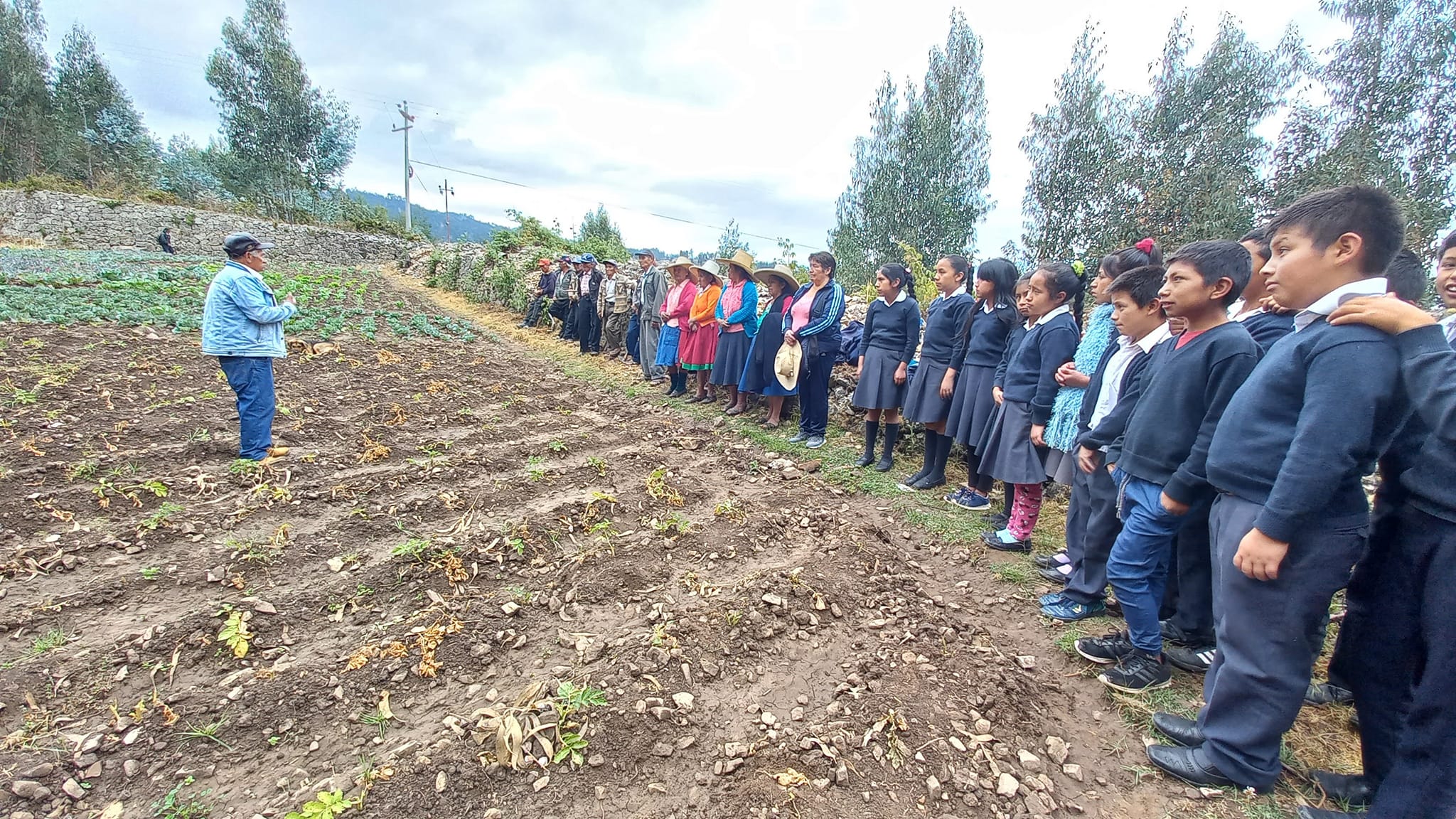 Adultos Mayores de Cashapamba Realizan Cosecha de Hortalizas