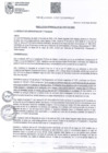 Vista preliminar de documento RGAF 041-2023