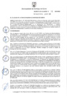 Vista preliminar de documento Decreto de Alcaldía N° 010-2020-MSS