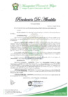 Vista preliminar de documento RESOLUCION DE ALCALDIA N°342-2023-MPM-A