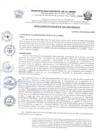 Vista preliminar de documento R.A. N° 423-2023
