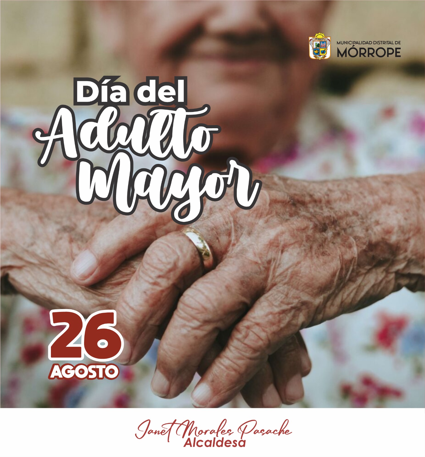 adulto