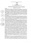Vista preliminar de documento rgm2252021gmampmn