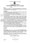 Vista preliminar de documento rgm2312021gmampmn