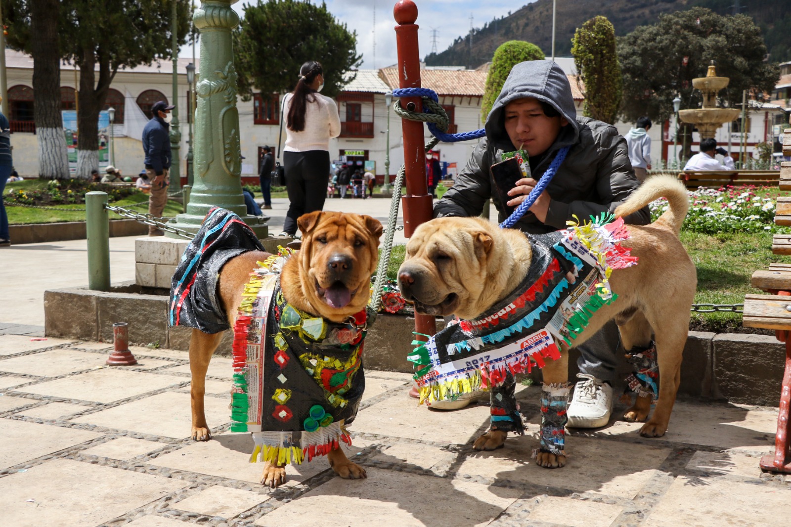 Espacio, tiempo y dinero son condiciones que deben cumplir para tener mascotas