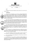 Vista preliminar de documento RESOLUCION DIRECTORAL N° 393 - 2023