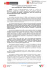 Vista preliminar de documento RDG 0034-2023 ECL ConstrucInstrumMusicalCuerda-Aprob