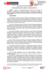 Vista preliminar de documento RDG 0036-2023 ECL BordadoTextil ArtesanalKene-Aprob