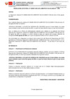 Vista preliminar de documento RJ 67-2023 RECTIFIC ENCARGO INTERNO